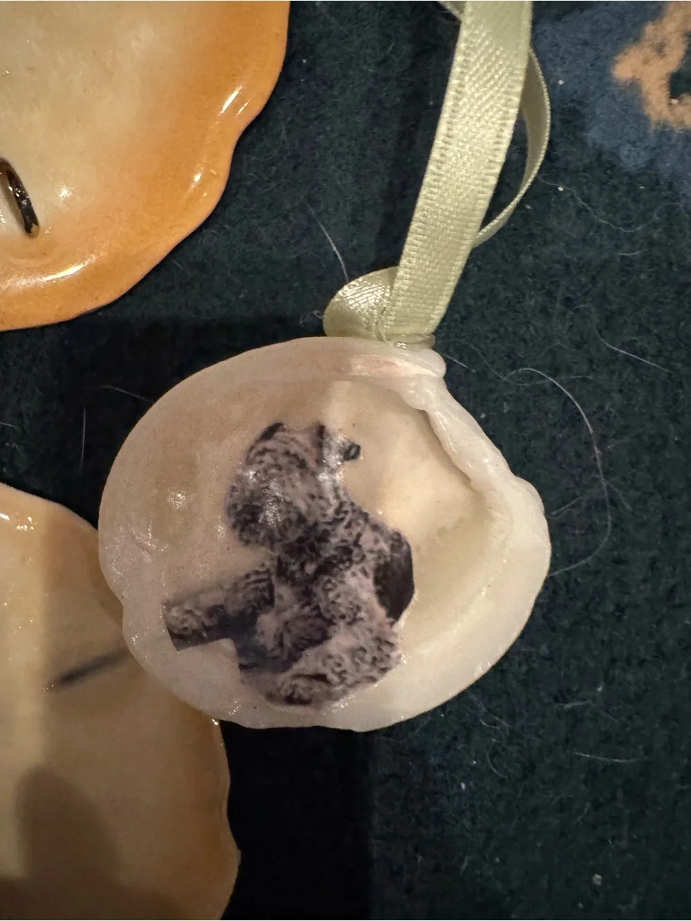 Handmade Dog real Sand Dollar Ornaments in Cream and Tan